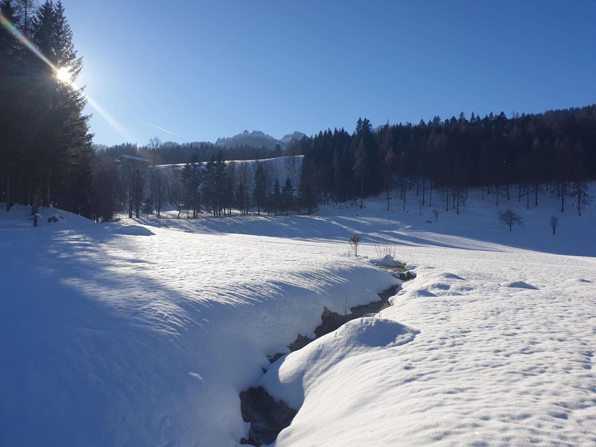 Mountain Residence Riesgut ヴェルフェン エクステリア 写真